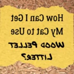 Cum să vă antrenați pisica să folosească litiera din peleți de lemn